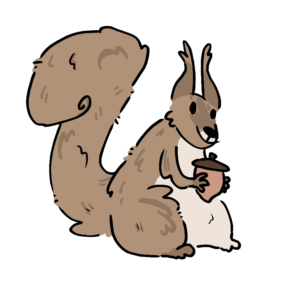 squirrel logo